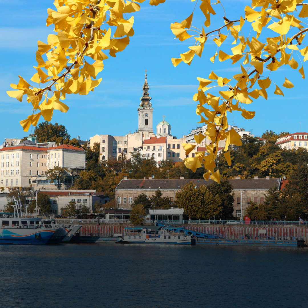 Beograd Beograd